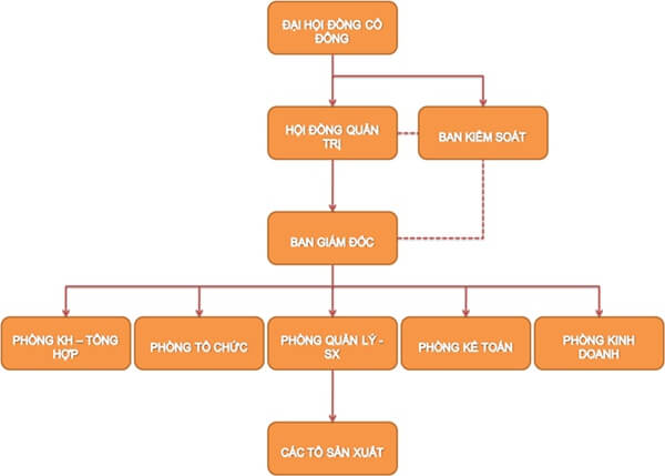 cơ cấu tổ chức công ty cổ phần