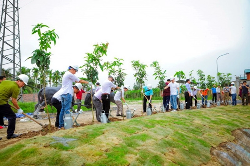 trồng cây giúp bầu khí quyển trong lành hơn