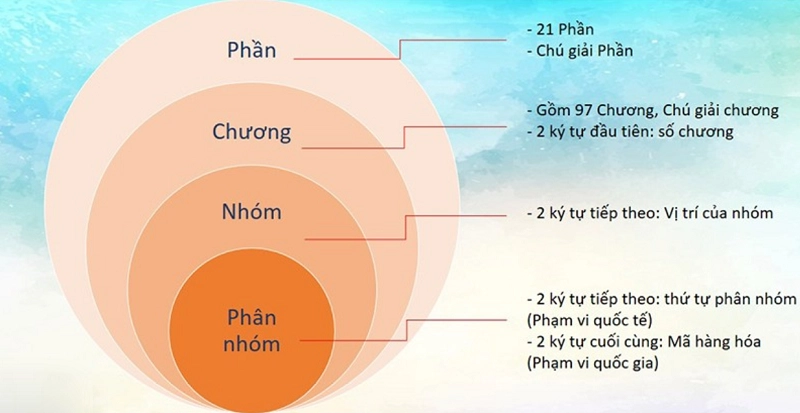 Cau-truc-phan-loai-HS-Code