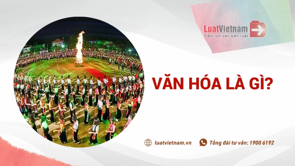 Văn hóa là gì? Các loại hình văn hóa phổ biến tại Việt Nam